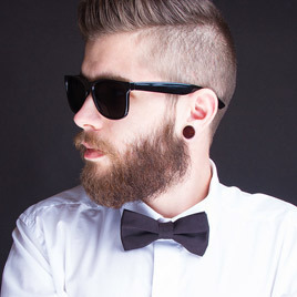 Описание изображения